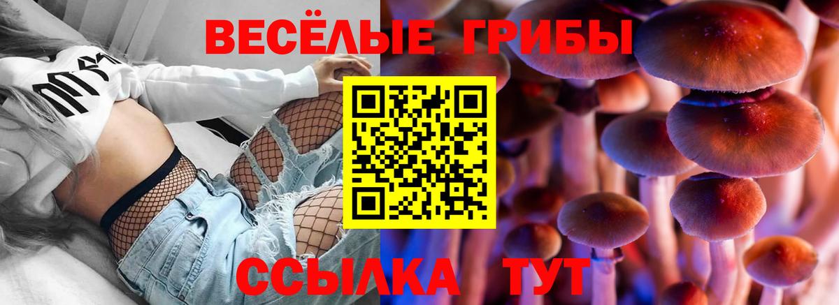 Псилоцибиновые грибы мухоморы  Вход с VPN  Сосновый Бор 